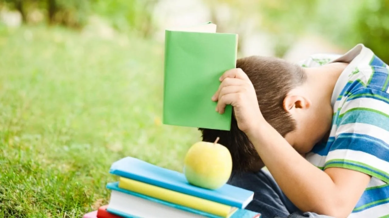 Özgül Öğrenme Güçlüğü Olan Çocuklar için Eğitim Stratejileri